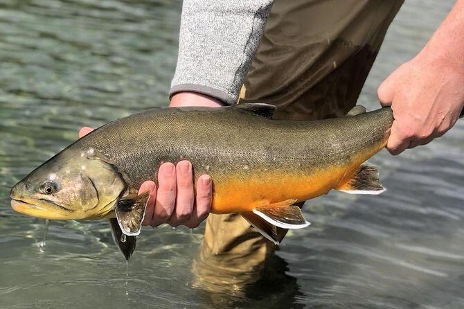 Private Lake and River Fishing Tour from Reykjavik - The Sum Up: Is This Tour Worth It?