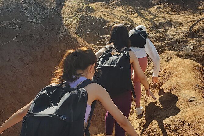 Private Lanikai Pillbox Hike and Lanikai Beach Excursion - Who Is This Tour Best For?