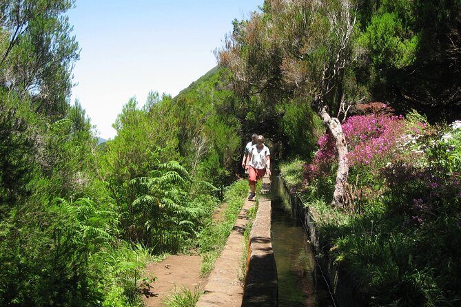 Private Madeira tour 8 people - The Bottom Line: Is It Worth It?