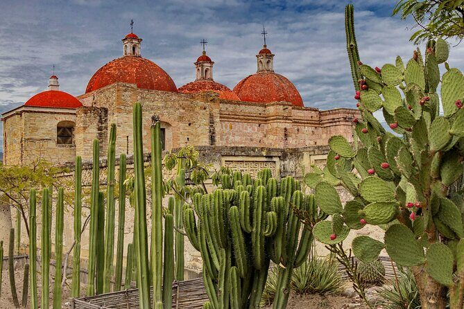 Private Mezcal Tasting Journey by Car in Oaxaca - Whats Included and Practical Considerations