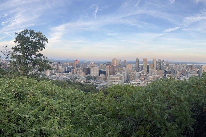 Private Montreal Car Tour with History and Hidden Gems - Detailed Breakdown of the Itinerary