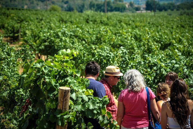 Private Montserrat with Wine Tasting Full Day Trip from Barcelona - Montserrat’s Natural Beauty and Cultural Depth