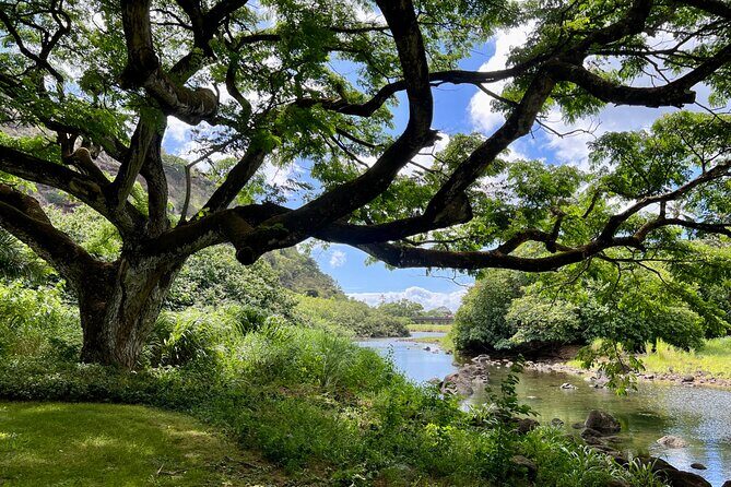 Private North Shore Oahu Tour ft. Waimea Falls-Customizable - Who Should Consider This Tour?