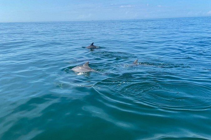 Private Panama City Beach Sunset Tour - Who Will Love This Tour?