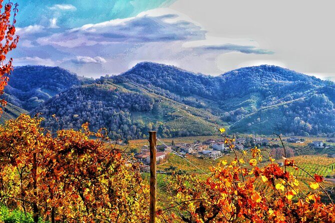 Private Prosecco Tour, with a certified Sommelier - An In-depth Look at the Prosecco Tour Experience