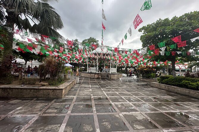 Private Puerto Vallarta Journey Through the Heart of the City - The Experience from Real Travelers