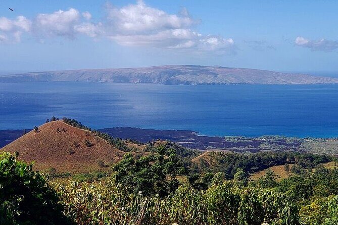 Private Redwood Forest Hiking Tour - Final Thoughts: Is It Worth the Price?