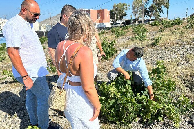 Private Santorini Wine Tour: Explore Top 3 Wineries & Best Views - Who Will Love This Tour?