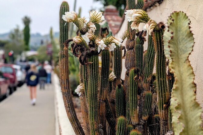 Private Scavenger Hunt in San Juan Capistrano Tour - Summary: Who Will Enjoy This Experience?