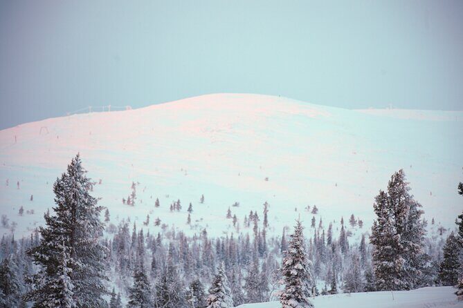 Private: Snowshoeing Safari in spectacular National Park - Authentic Feedback from Past Travelers