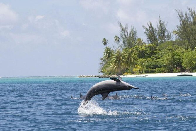 Private Speed Boat Charter with Experienced Captain - Authentic Experiences and Real Feedback