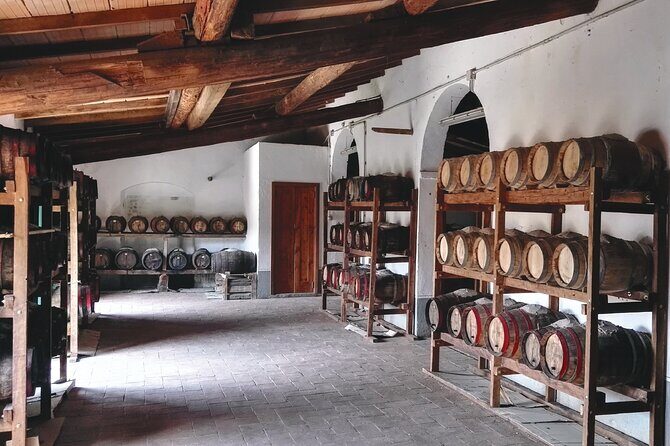 Private tasting of organic wines in the cellar in Arezzo - Practical Details and Logistics