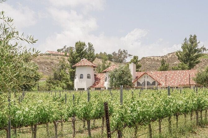 Private Temecula Wine Tour from Bonsall - Transportation and Group Size