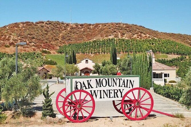 Private Temecula Wine Tour from Dana Point - Is This Tour Worth It?