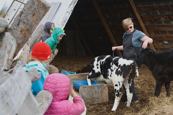 Private Tour at Historic Alaska Dairy Farm - Why This Tour Works for Travelers