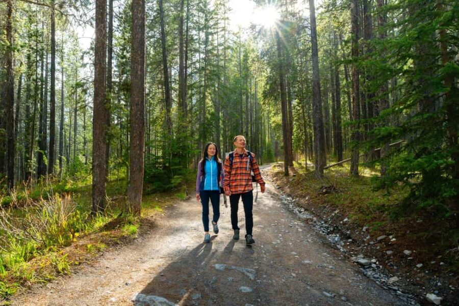 Private Tour: Canmore 2-Hour Guided Nature Walk - Is It Worth the Price?