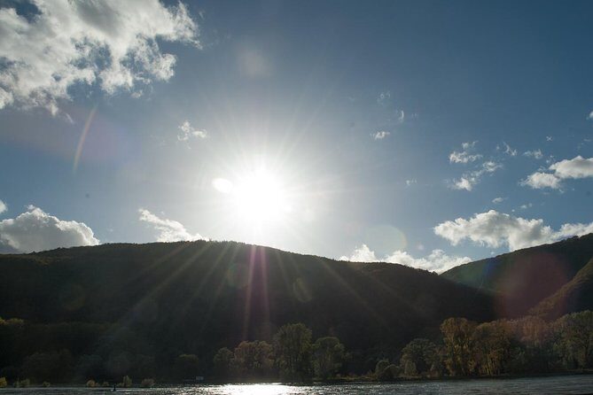 Private Tour: Customizable Rhine Valley Day Trip from Frankfurt - The Cost and Value