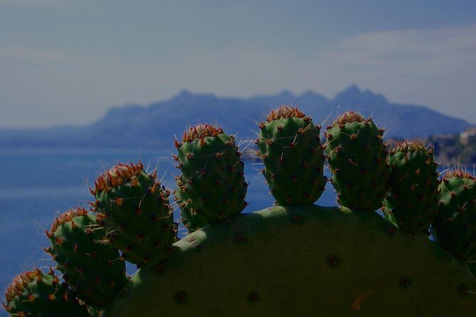 PRIVATE TOUR from Catania to Agrigento (Valley of Temple) and Piazza Armerina - Practical Details and Tips