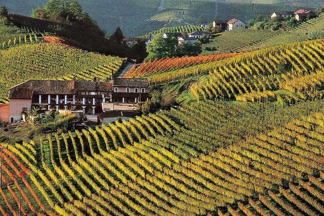 Private tour from Turin: Full day Langhe Region with its Colors and Flavors - Why This Tour Offers Great Value