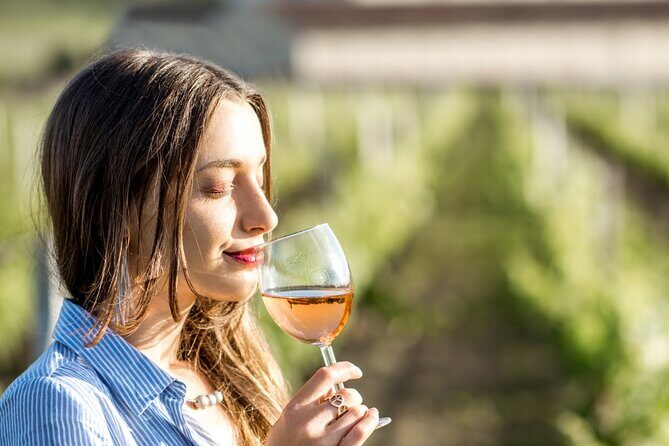 Private Tour in Baja California - What’s Included and What’s Not