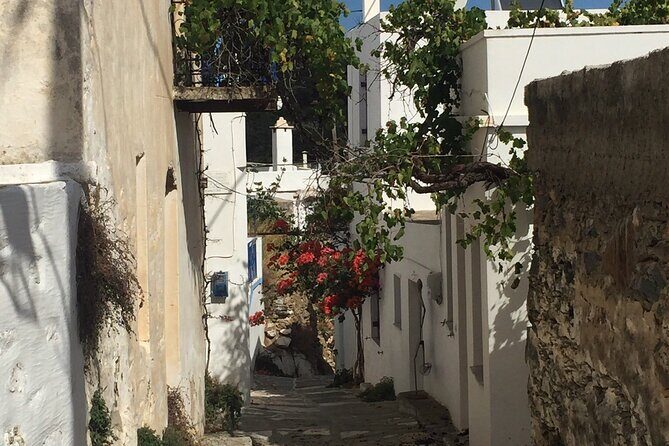Private Tour on Paros Island - Value for Money and Practical Details