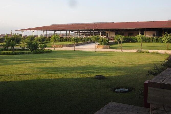 Private Tour: Paestum, Mozzarella Bufala guided tour and lunch - A Delicious, Relaxed Lunch