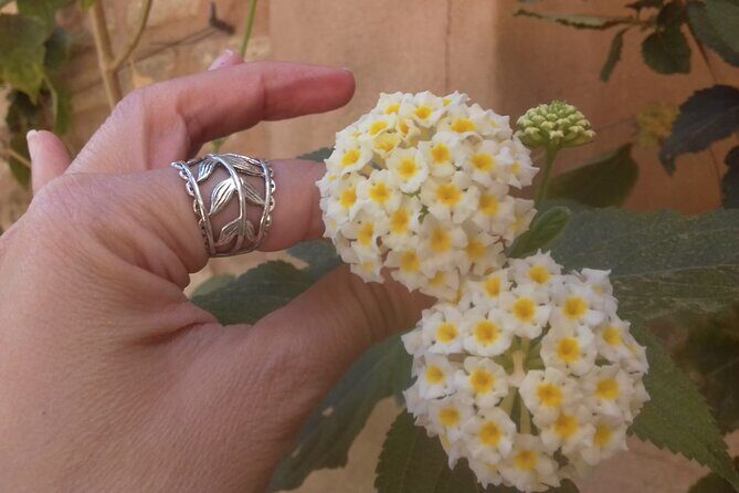 Private tour Palace of Dueñas - Who Should Consider This Tour?