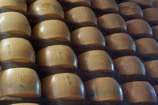 Private Tour Parmigiano,Prosciutto,Balsamico with driver-Bologna - Transportation and Logistics