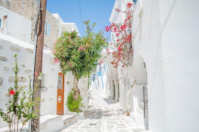 Private tour: Paros highlights 6 hours - Why This Tour Works Well