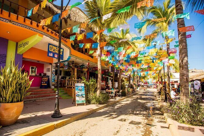 Private Tour, Sayulita & San Pancho - Potential Drawbacks and Considerations