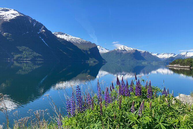 Private Tour to Atlantic Road from Ålesund groups 1 to 40 - Value and Practical Aspects