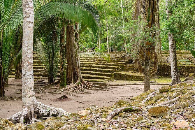 Private Tour to Chacchoben Mayan Ruins & beach - What the Tour Includes and Excludes