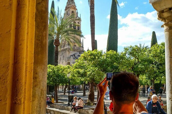 Private tour to Córdoba from Seville (several options) - Considerations and Practical Tips