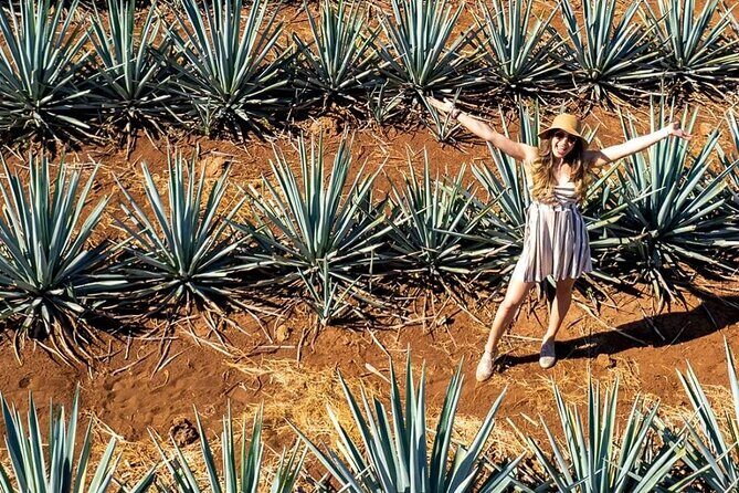 Private Tour to El Tequileño Distillery and visit to Tequila - Practical Tips for the Tour