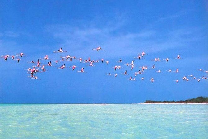 Private Tour To Holbox From Cancun - In The Sum Up