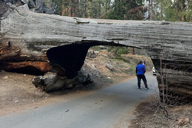 Private Tour to Sequoia and Kings Canyon National Parks - Detailed Itinerary Breakdown