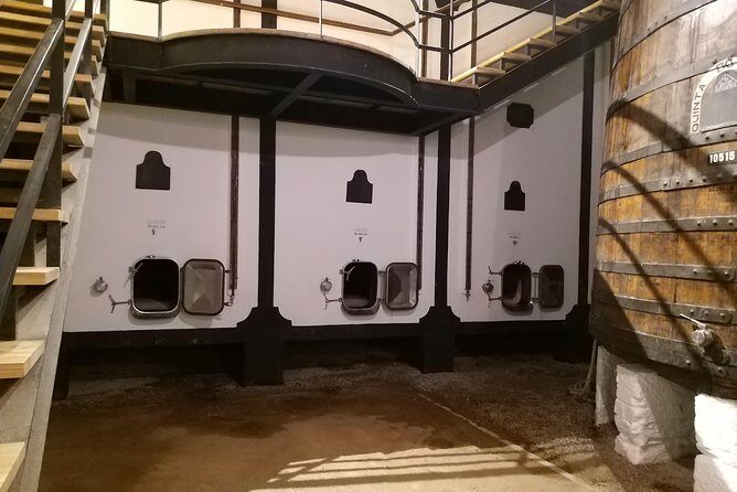 Private Tour to the rock art of Côa Park, Pinhão and Winery - Why This Tour Works