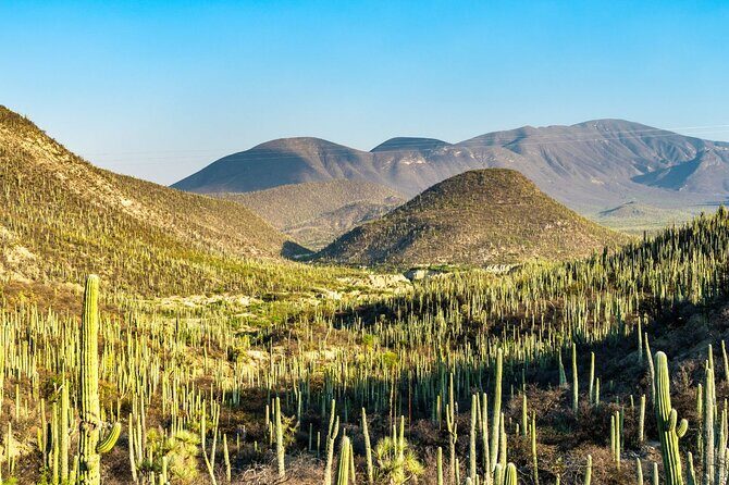 Private Tour to the Tehuacán Biosphere Reserve - Practical Details & Tips