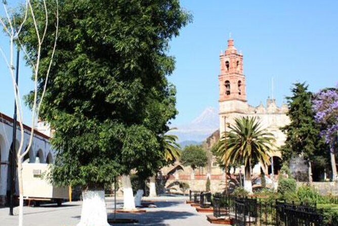 Private Tour to the Volcano Area with Lunch - Final Thoughts on Value and Suitability