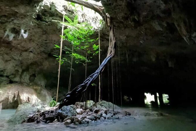 Private Tour to Tulum Cenotes Sac Actun - Logistics: What to Expect