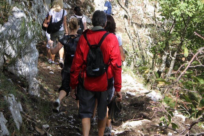 Private Tour: Truffle-Hunting Experience from Amalfi Coast with Lunch - Authenticity and Quality: What Are Travelers Saying?