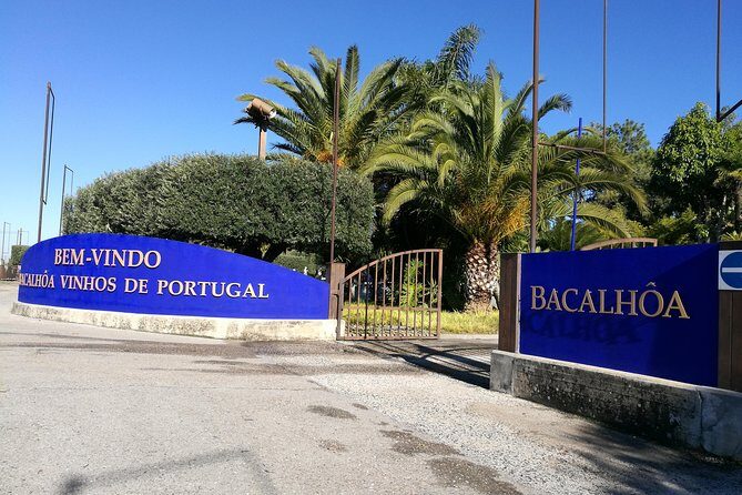 PRIVATE TOUR WINE TASTING QUINTA BACALHÔA & JOSÉ MARIA FONSECA (Setubal Region) - Authentic Experiences that Shine