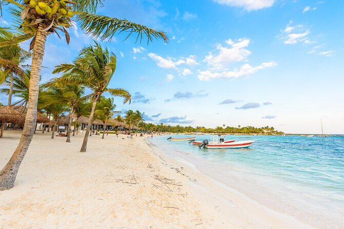 Private Transfer: Cancun Airport CUN to Akumal in SUV - Why the Price Reflects Good Value