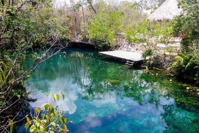 Private transfer for 5 hours (go dinner,cenotes, shopping and more) - Authentic Experiences and Reviews