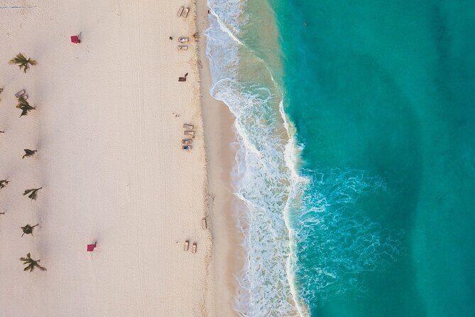 Private Transfer from Cabo San Lucas to La Paz - Why Choose This Transfer?