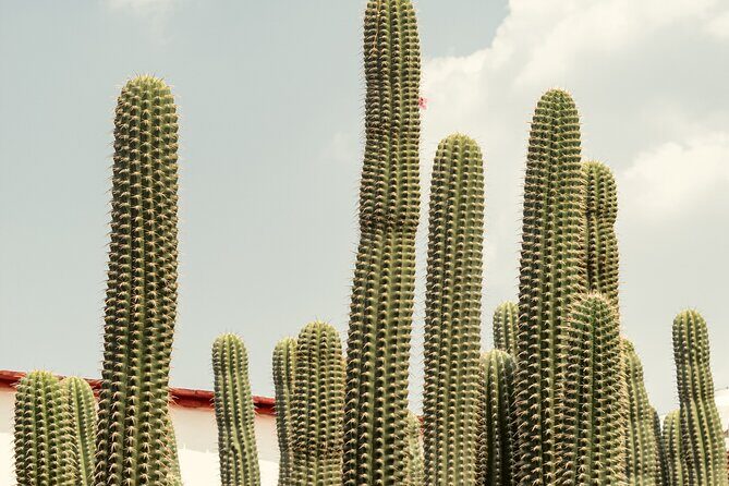 Private Transfer from Guadalajara to Morelia - FAQs