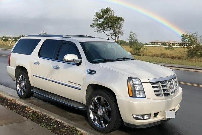 Private Transfer from Hilo Cruise Port to Kona city hotels - Deep Dive: The Practical Details