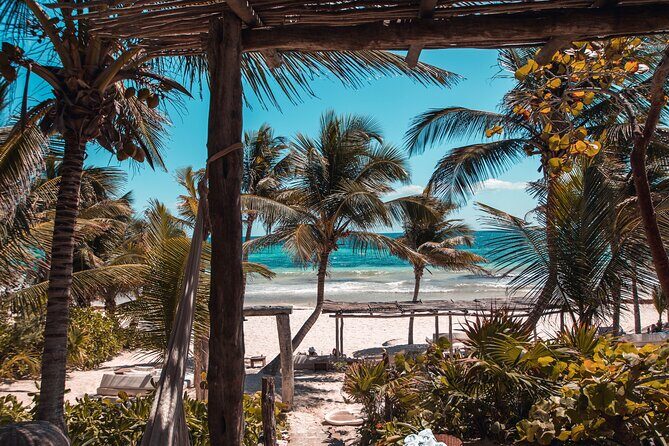 Private Transfer from Mahahual to Tulum with Sightseeing - Why Choose a Private Transfer from Mahahual to Tulum?