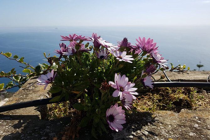 Private Transfer from Naples to Positano - Who Is This Service Best For?