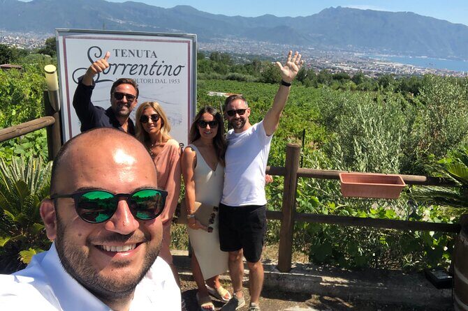 Private Transfer from Naples to Sorrento or Vice Versa - Why This Service Works Well for You